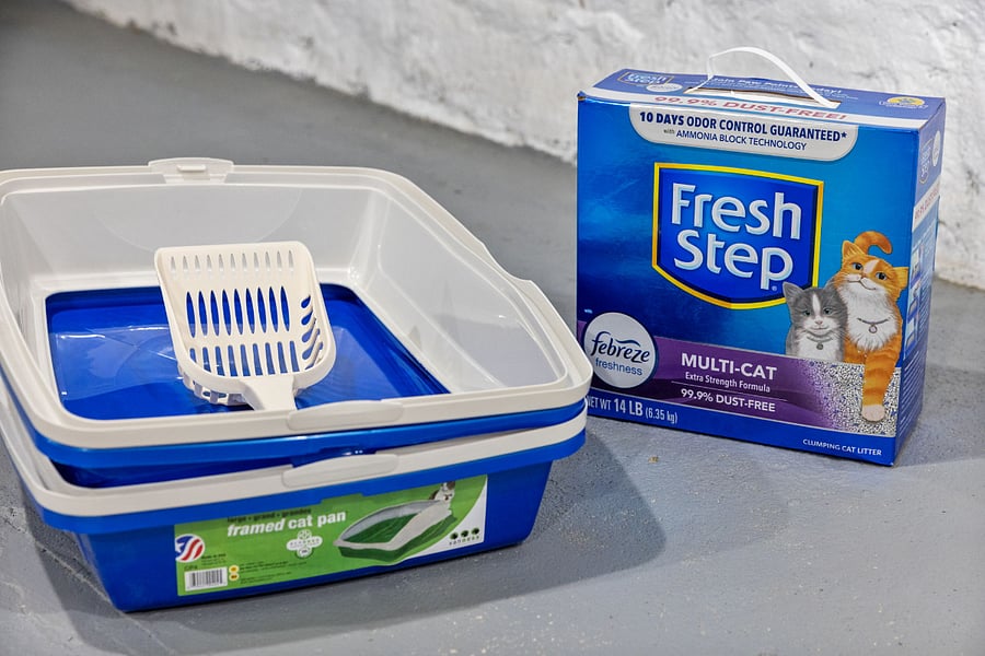 Cat litter and cat litter container