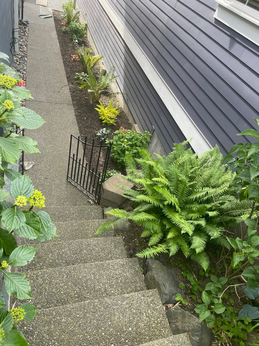 Steps leading to apartment