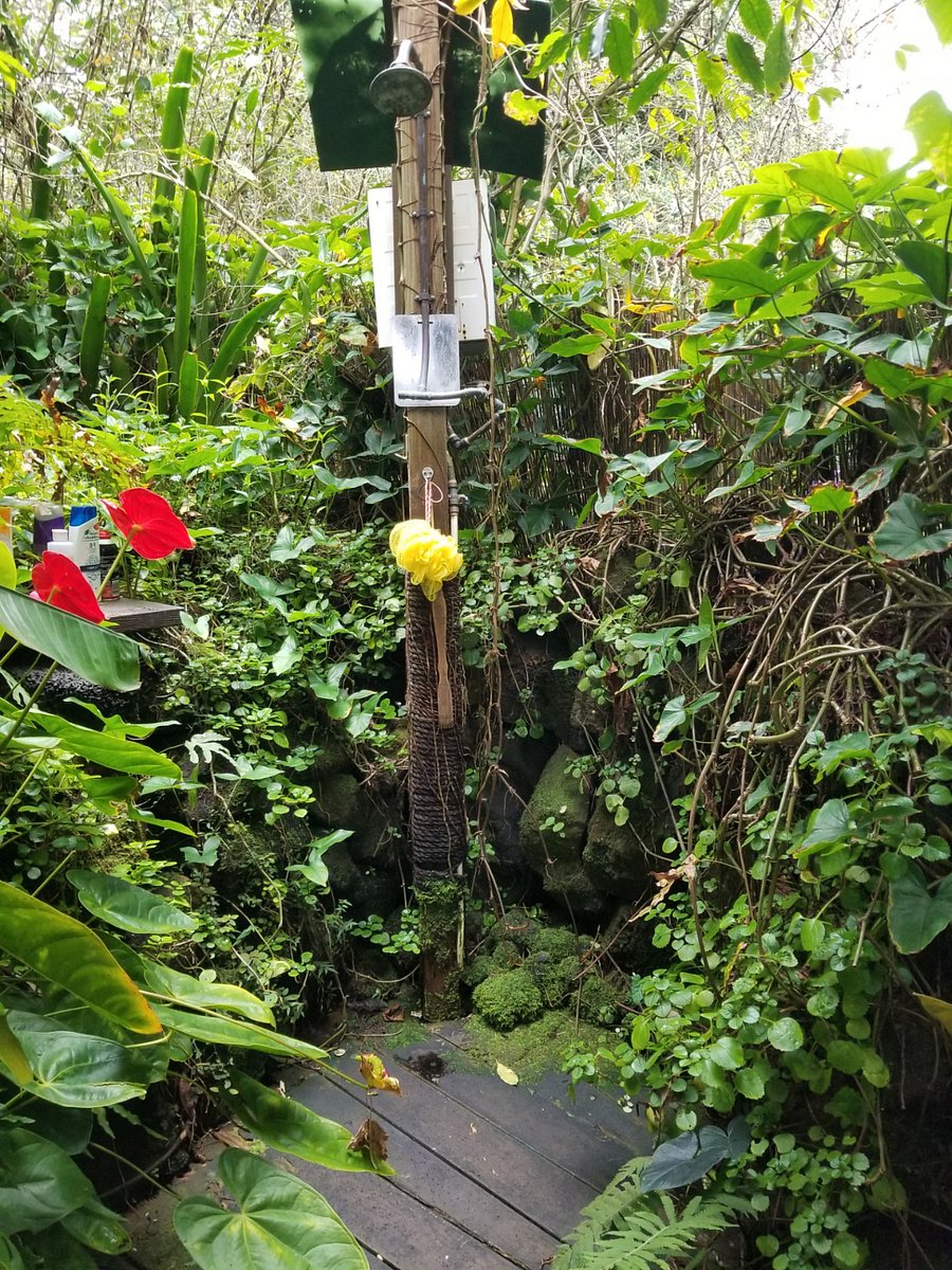 Outdoor Tropical Shower under the Stars