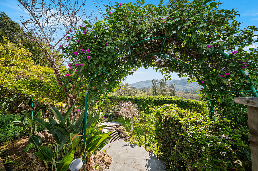 Bougainvillea arch leads to garden steps