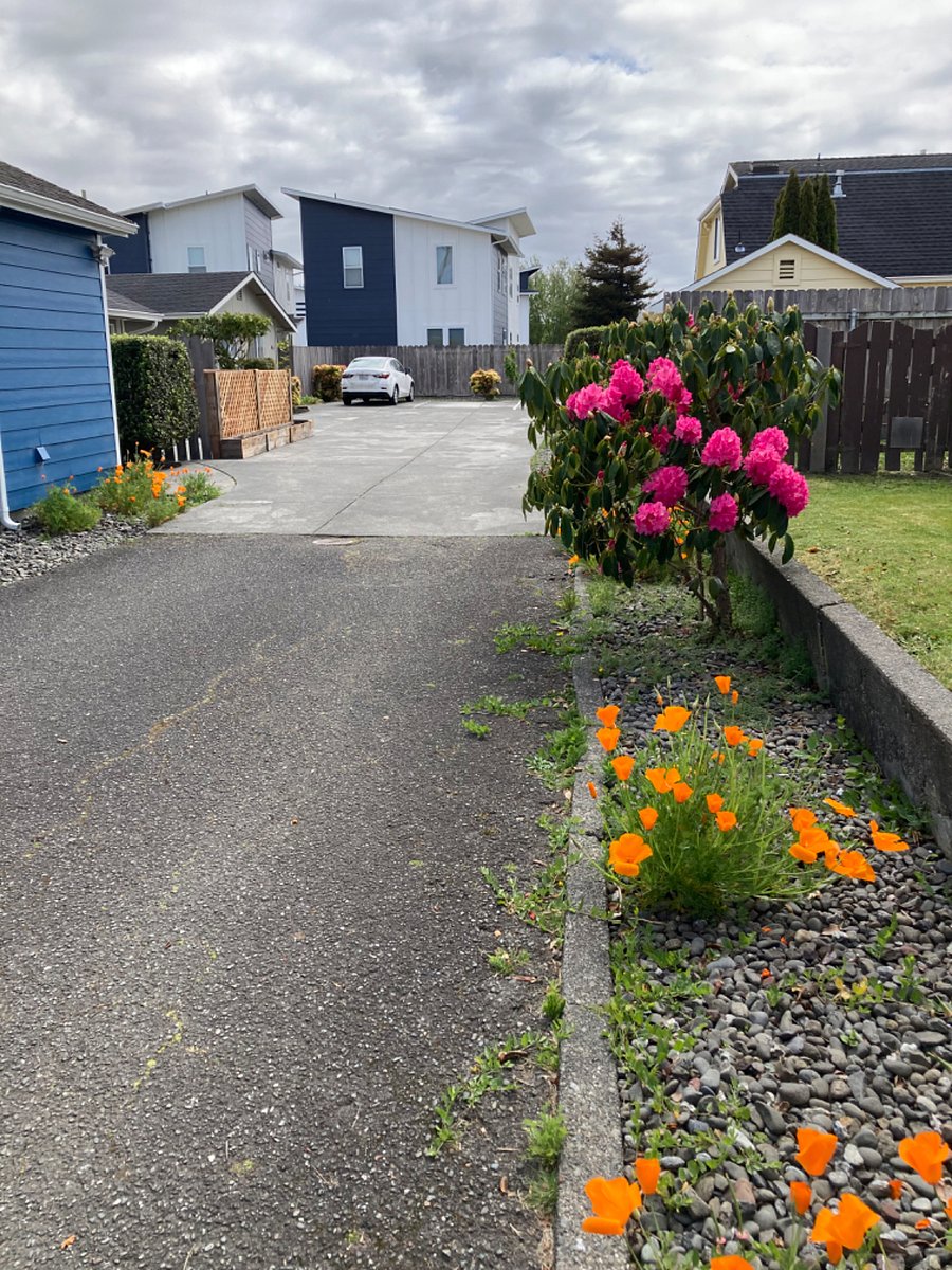 Designated parking space well off the street at the end of the long driveway