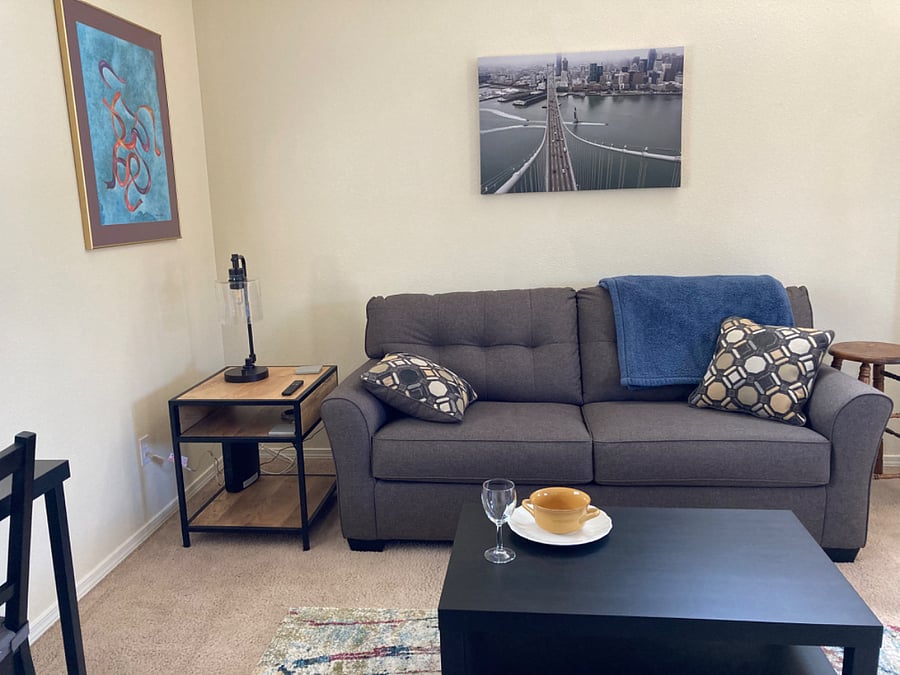 Brand-new comfy couch for lounging in the living room