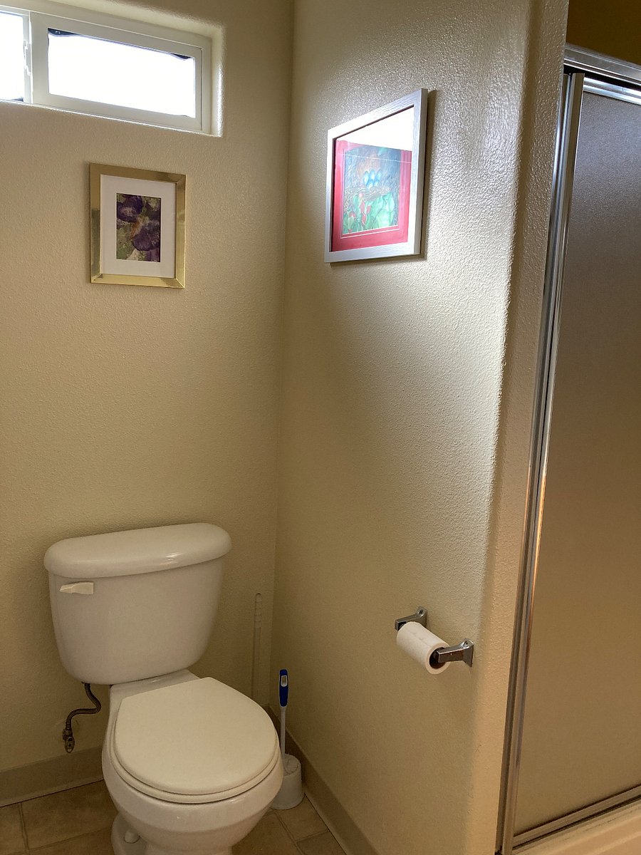Everything in the house is clean and fresh