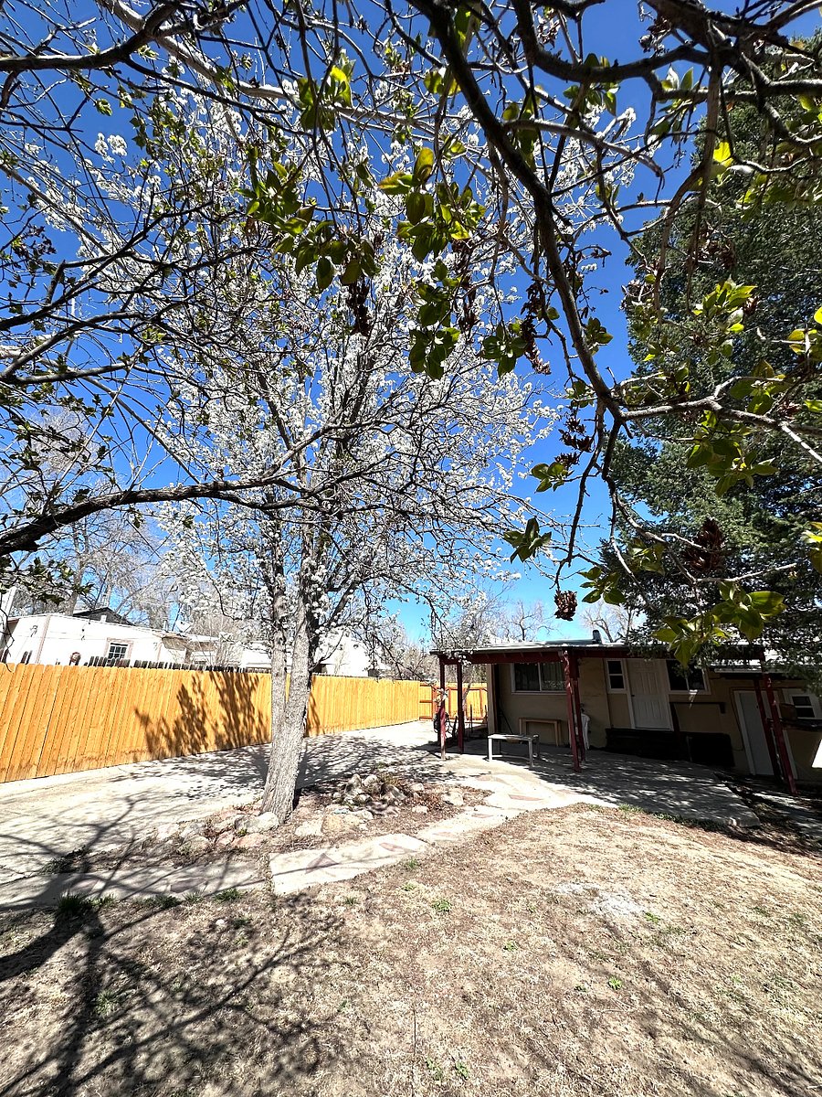 Furnished Finder property 660022_3 photo 16