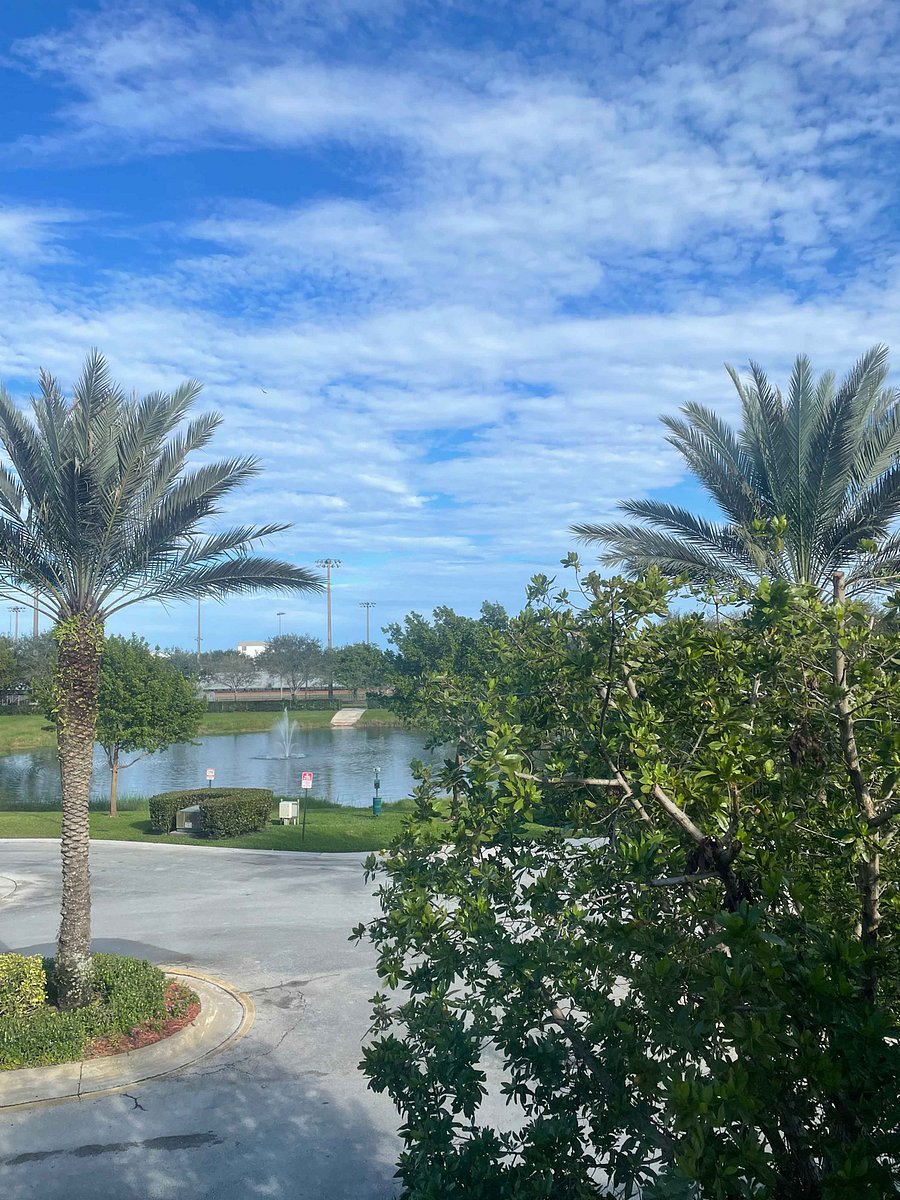 Bedroom View