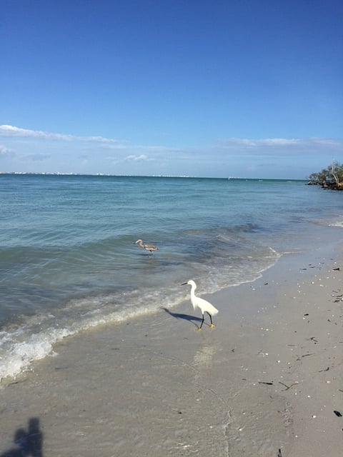 Bunche Beach Preserve