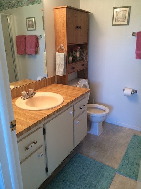 master bedroom's bathroom