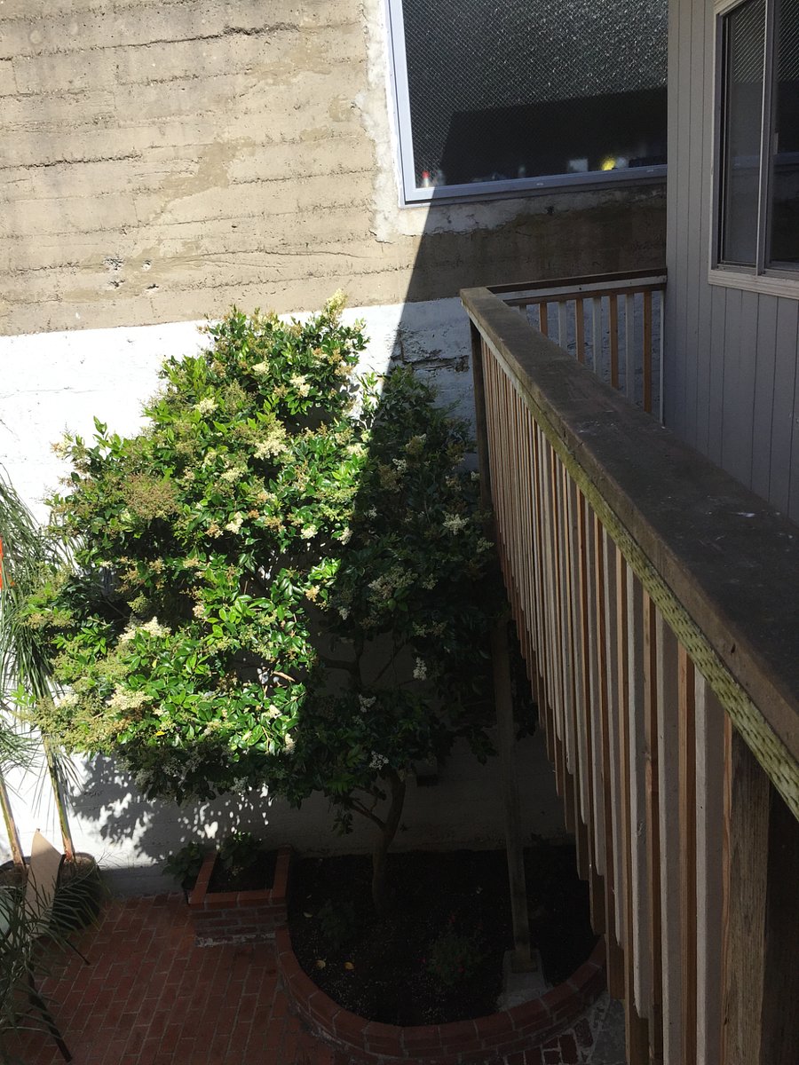 Furnished Finder property 660672_1 photo 8