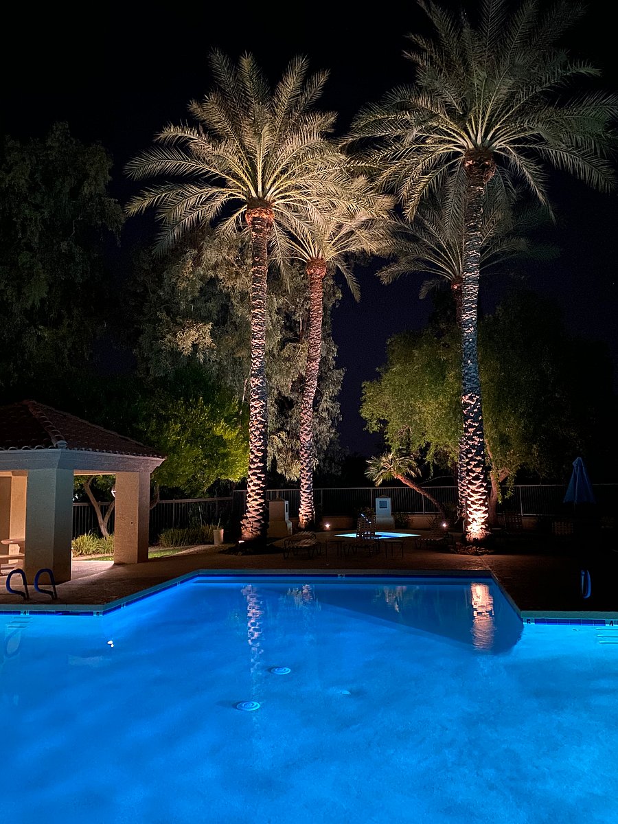 Furnished Finder property 660691_1 photo 16