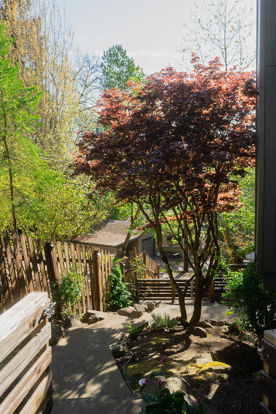 Foliage on the property