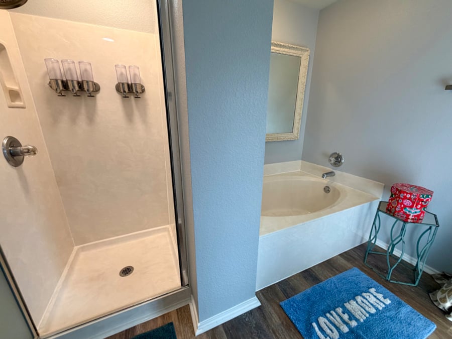Master bath shower and tub