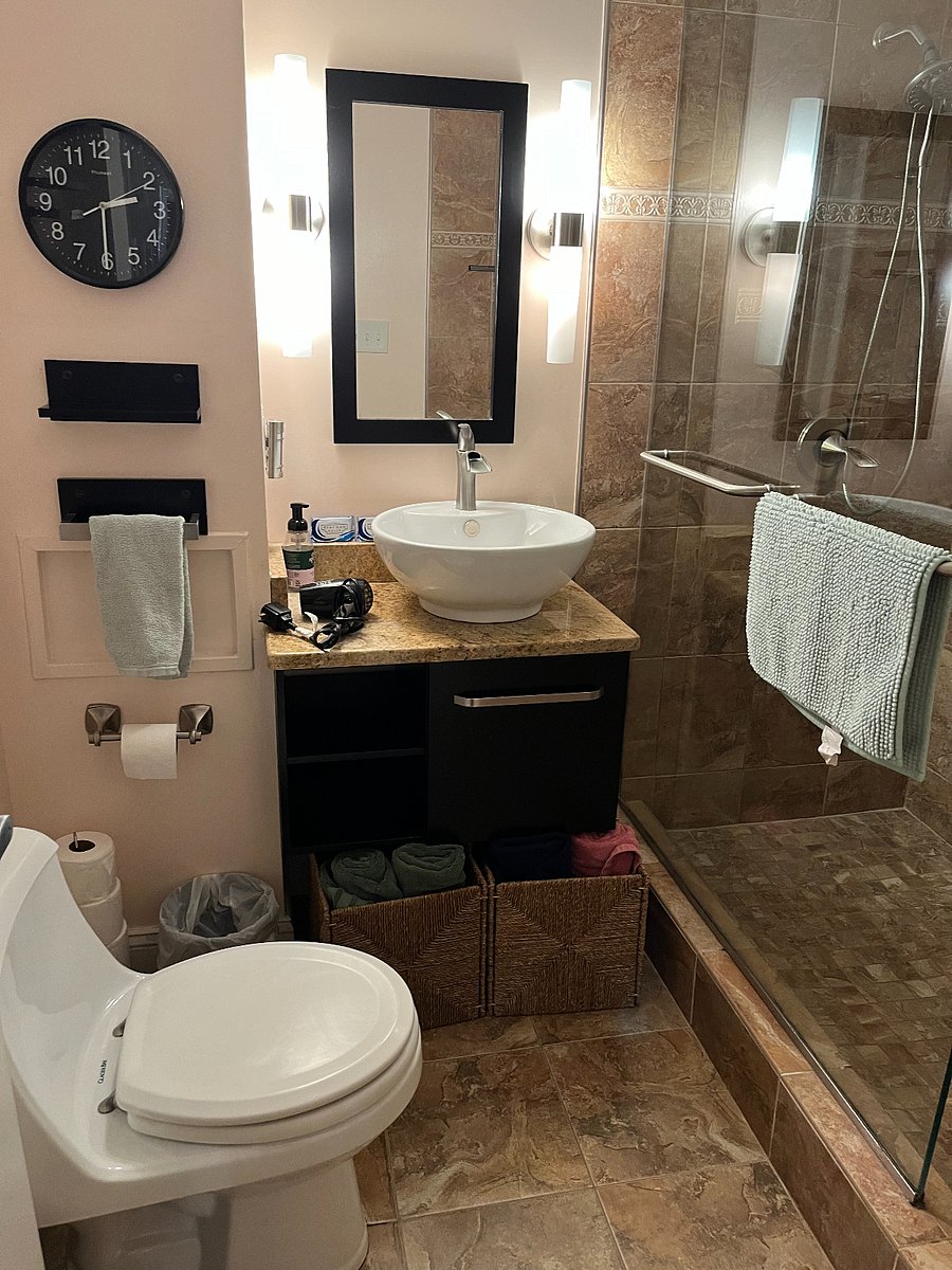 High end beautiful bathroom with vessel sink, granite vanity top, walk-in shower, toilet, towel racks, towel sets for 4. Hair dryer. First aid kit in cabinet. Bath mat. Cleaning products.