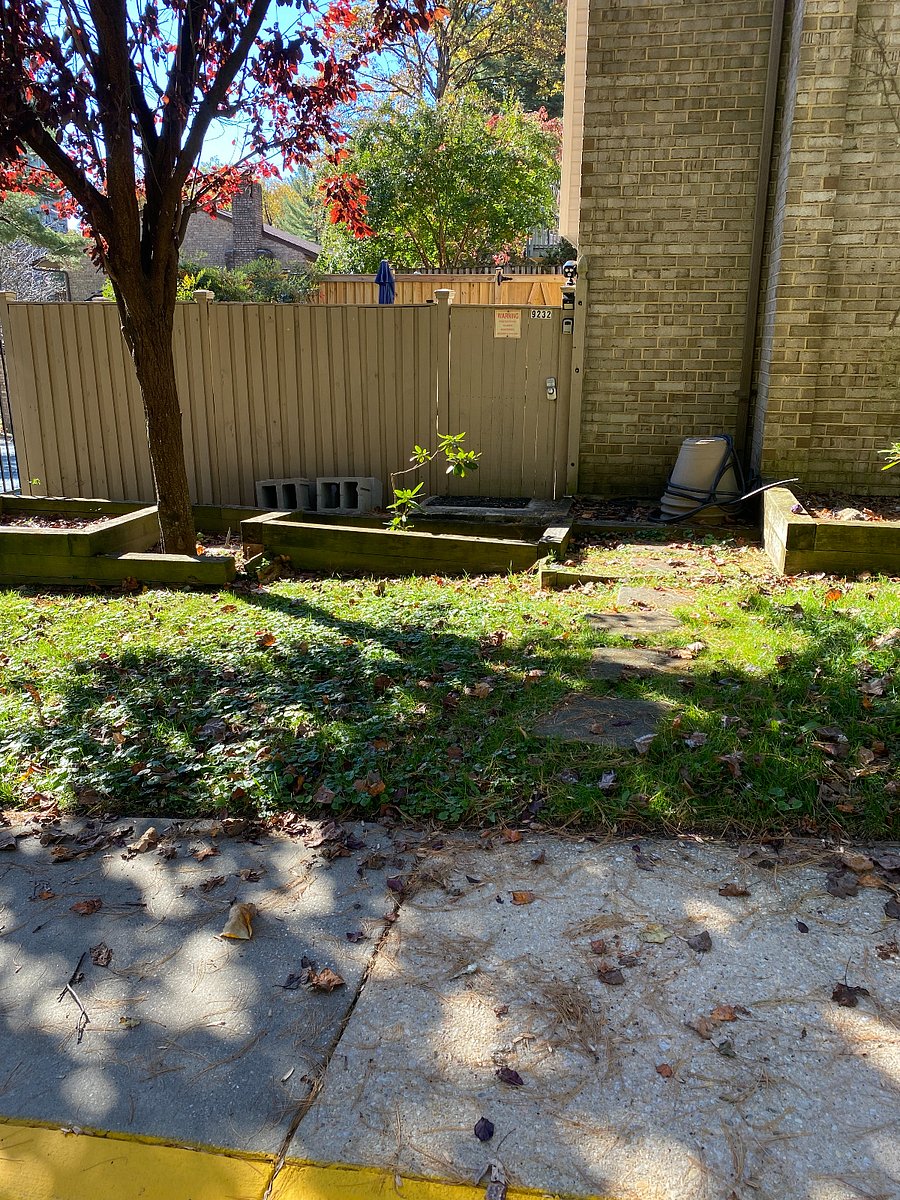 Entrance to patio and apartment from sidewalk. Coded door. Ring motion light on patio to light your way! No camera.