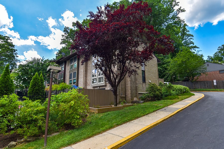 Furnished Finder property 661521_1 photo 25