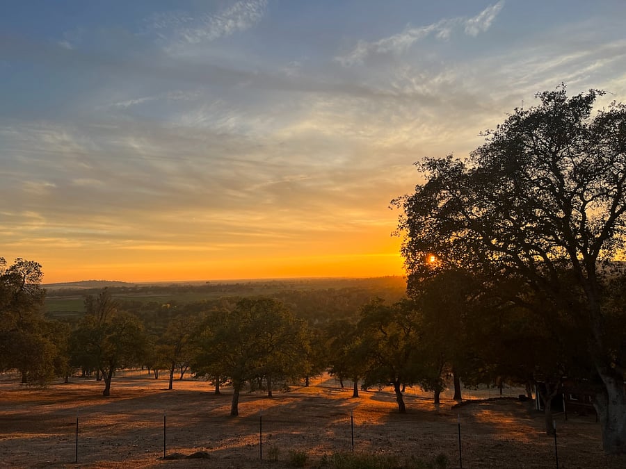 Summer Sunset