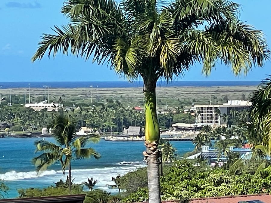 View from lanai