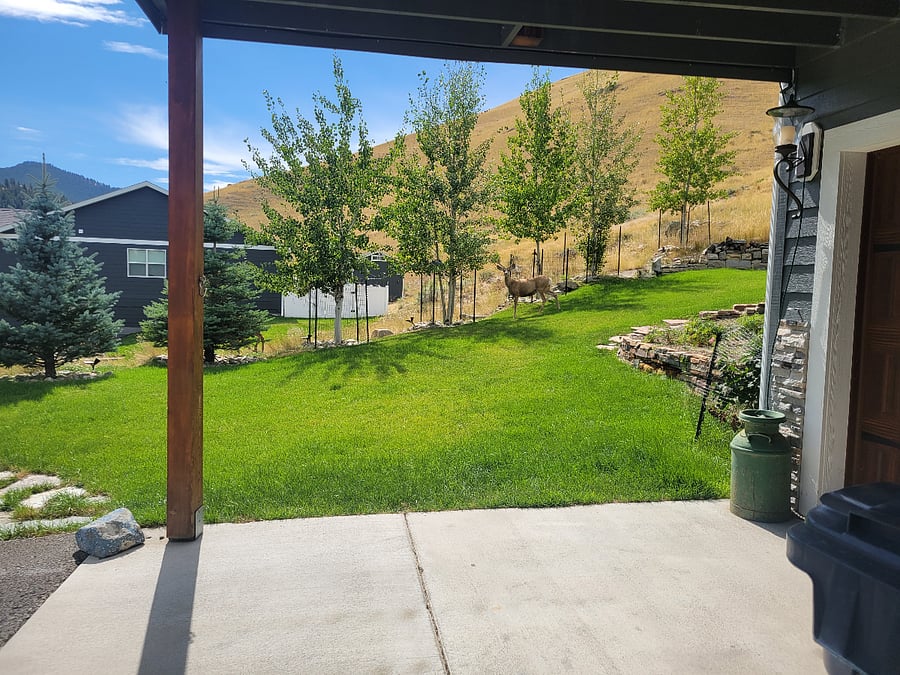 Outside yard area is very peaceful and lovely