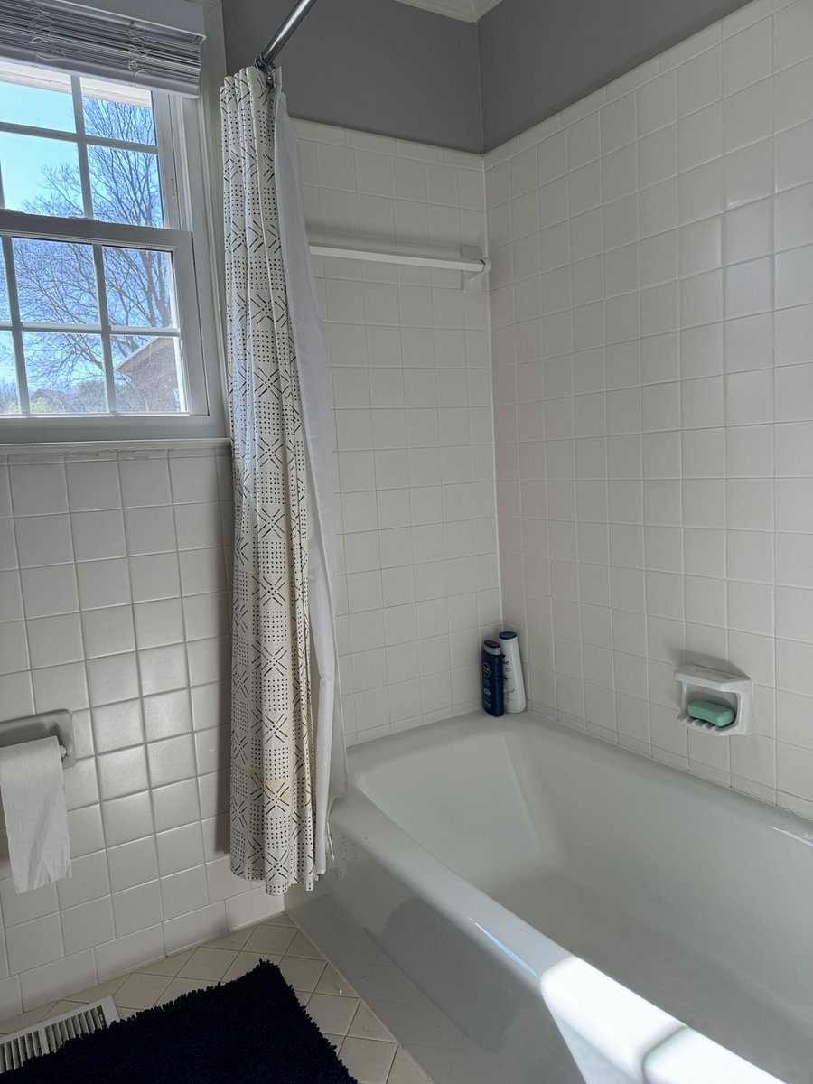 Hallway Bathroom