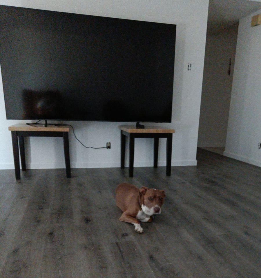 Furnished Finder property 662177_1 photo 3
