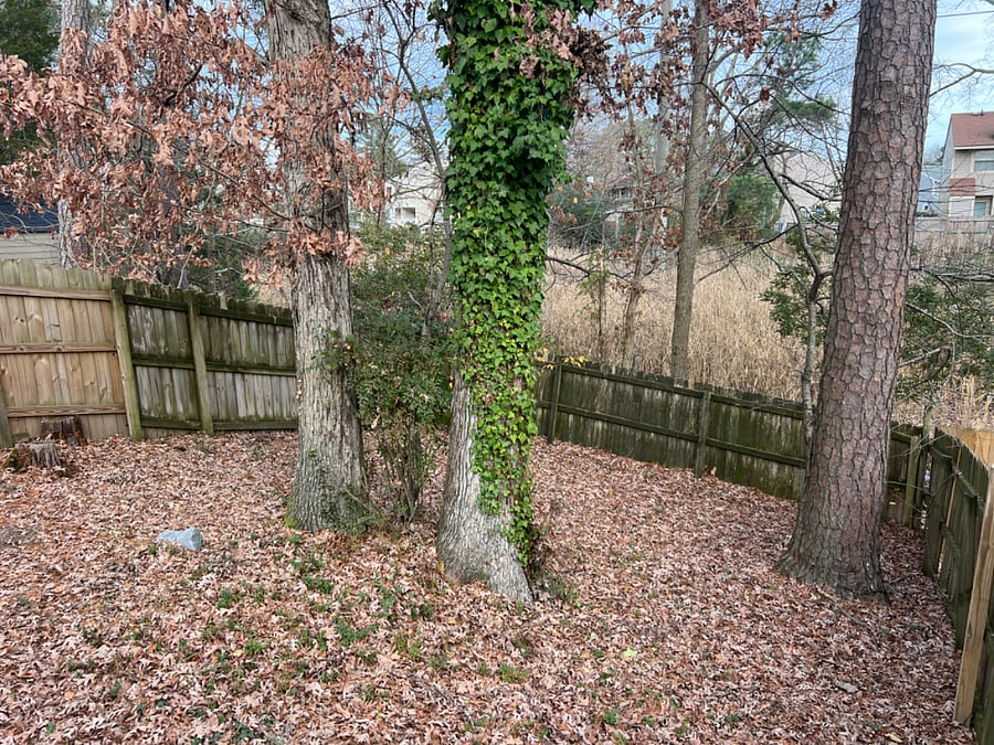 Furnished Finder property 662770_1 photo 10