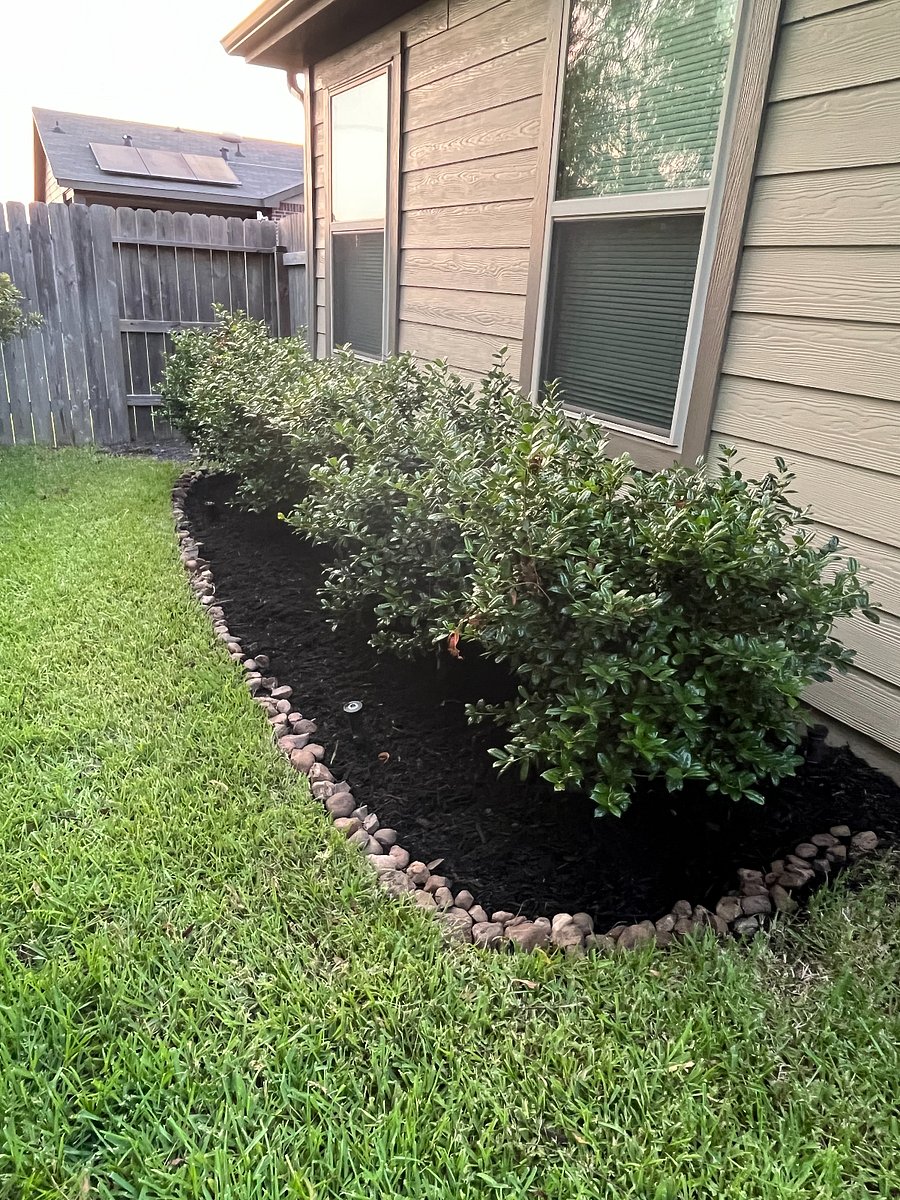 Backyard Landscaping