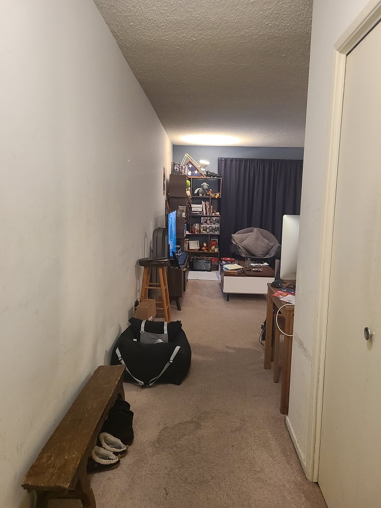 Entrance to the apartment