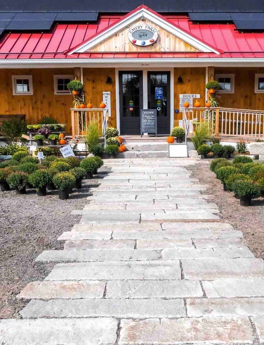 The new beautiful farmstand offers everything you want to provision your farm stay. Fresh fruit in season, meats, cheese, eggs, beer and wine, fresh baked goods, espresso in the morning! And much more. No need for a car, just walk down the hill