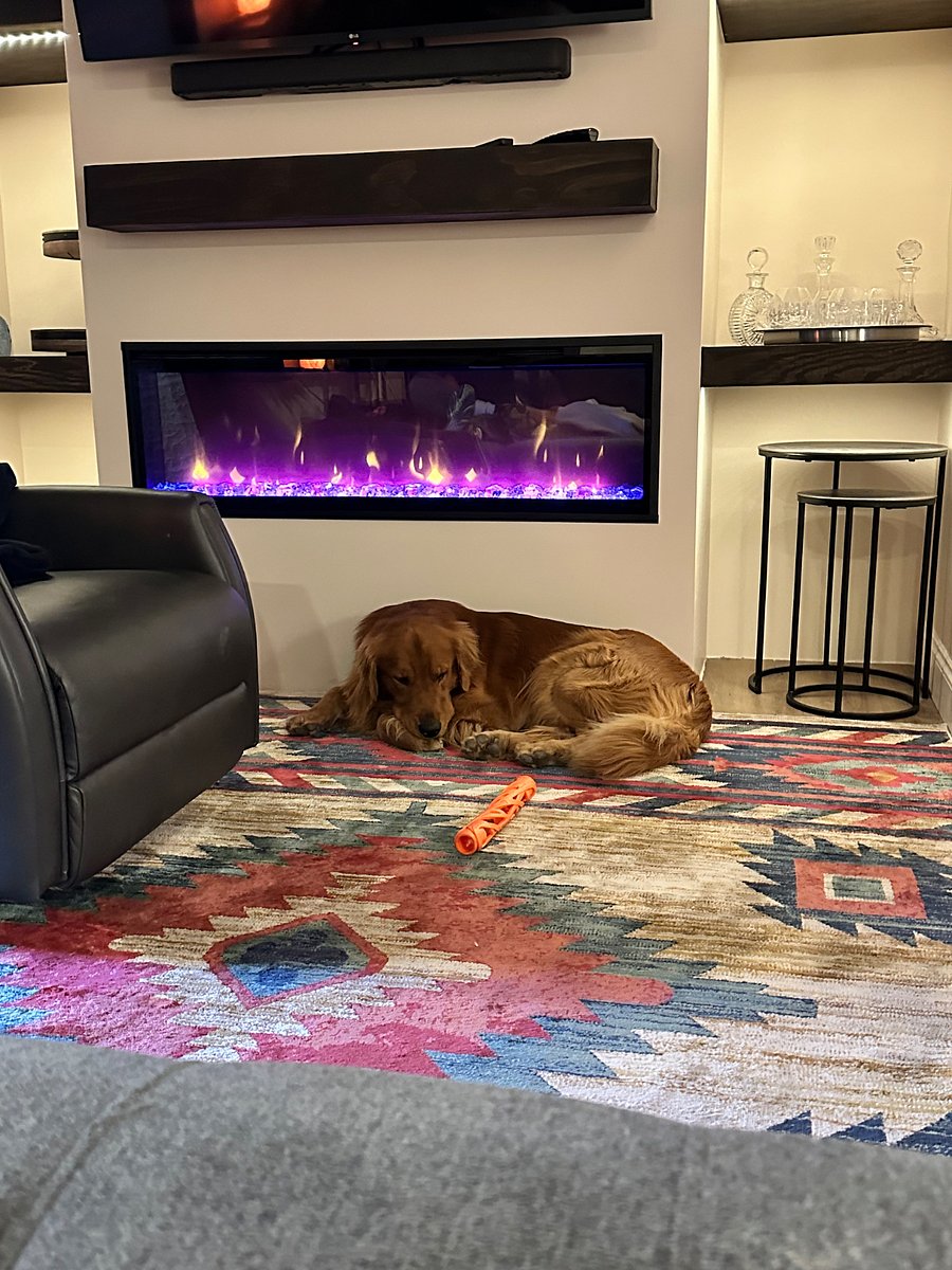 Dog not included.