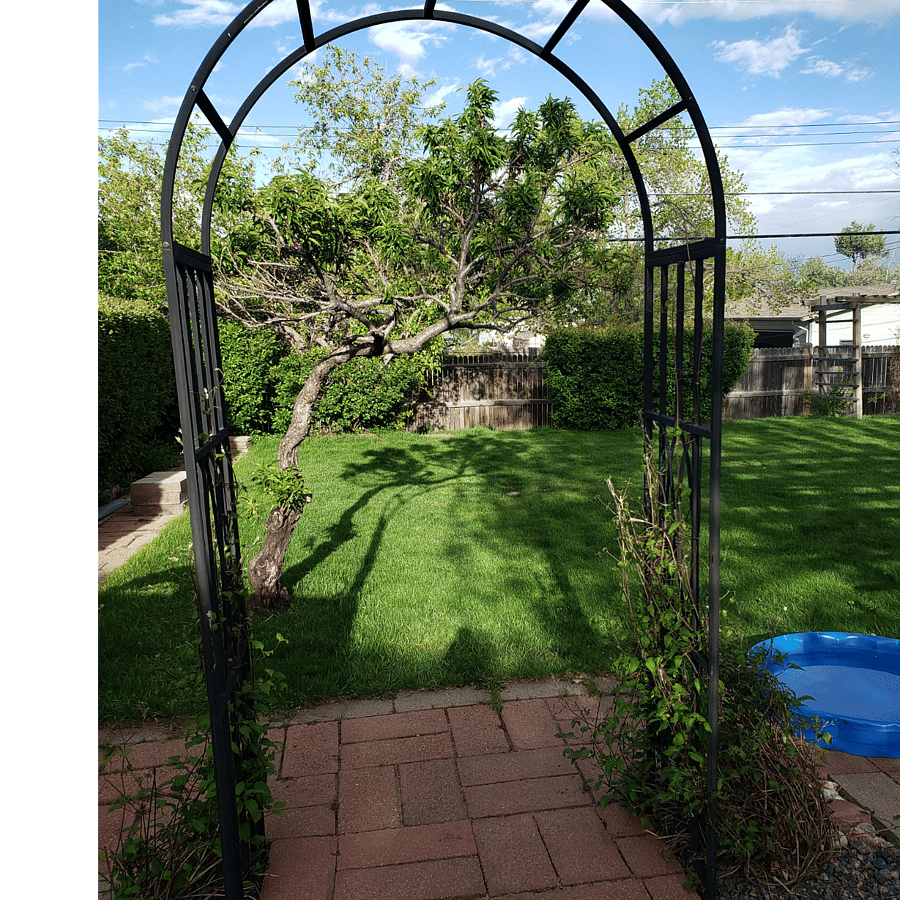 Furnished Finder property 663073_1 photo 25