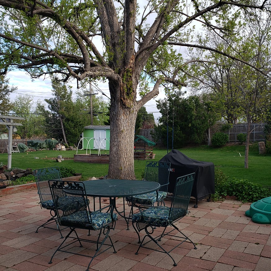 2 BACKYARD PATIOS ON 1/2+ ACRE