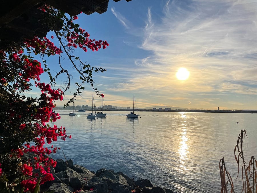 Shelter Island views of downtown San Diego