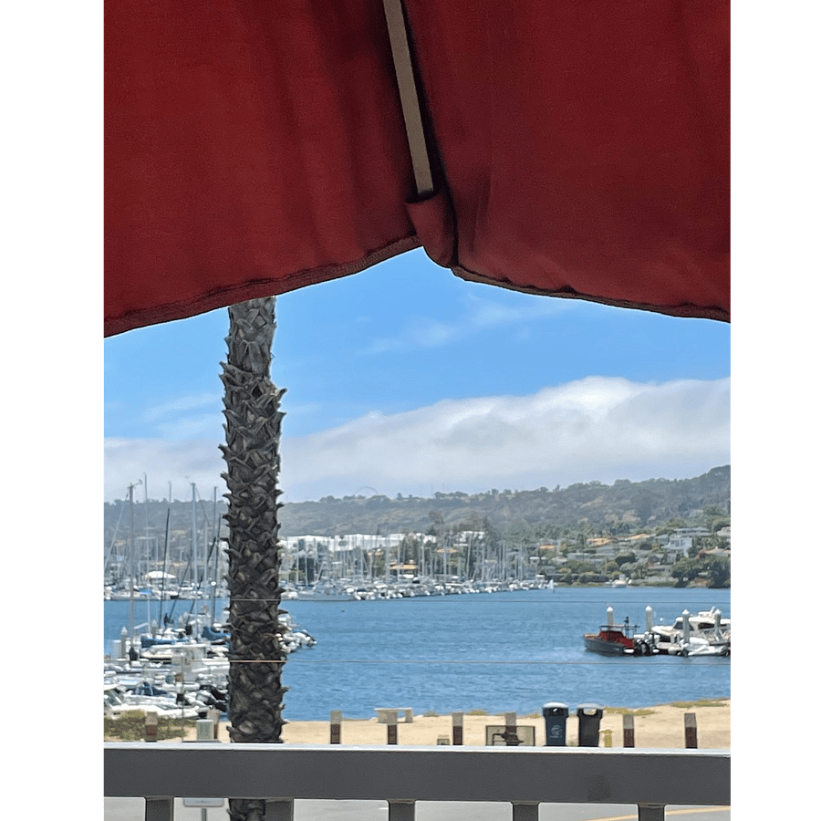 Enjoy views of the San Diego Yacht Club marina from the pool deck