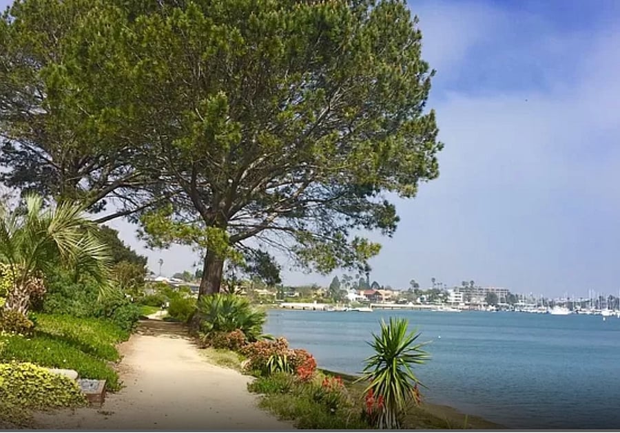 Harbor walking trail