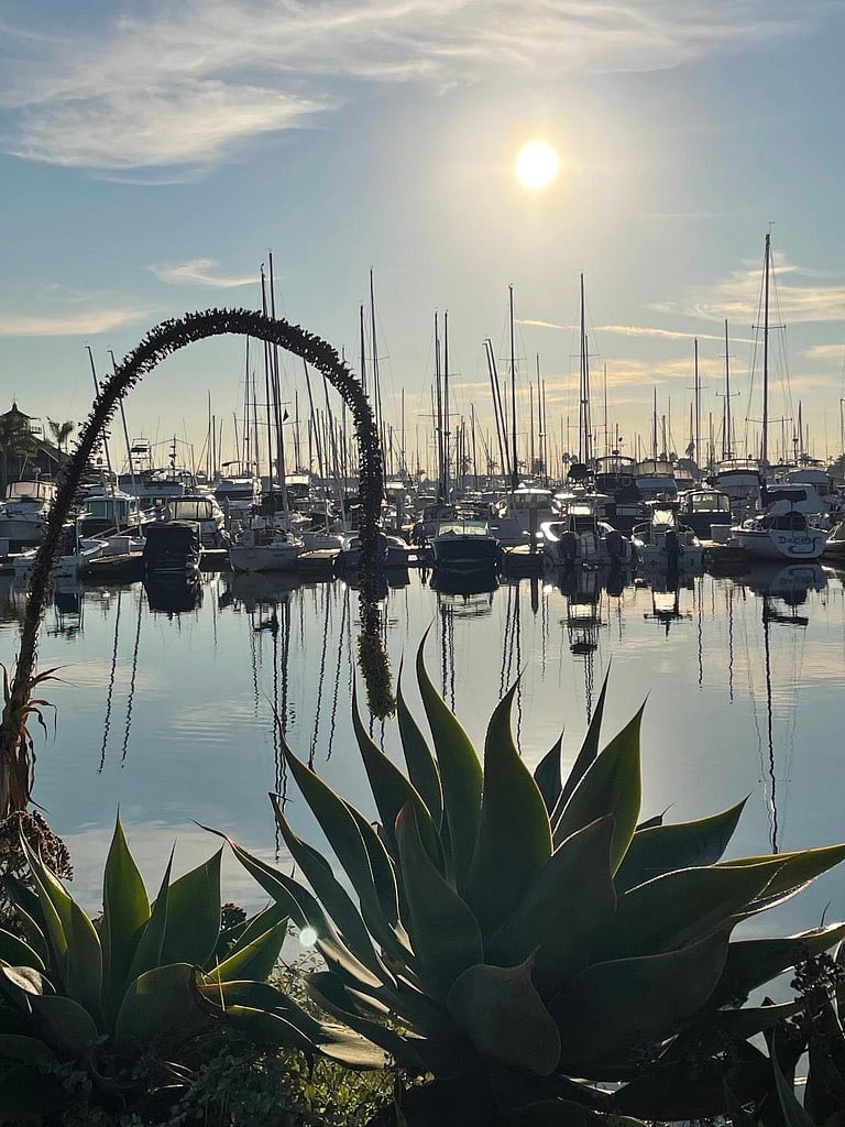Harbor views