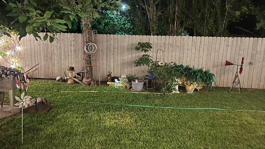 backyard (shared area)