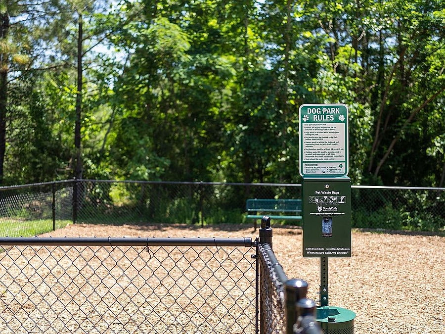 dog park