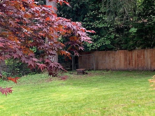 Woodland Travelers Lodging Quiet backyard
