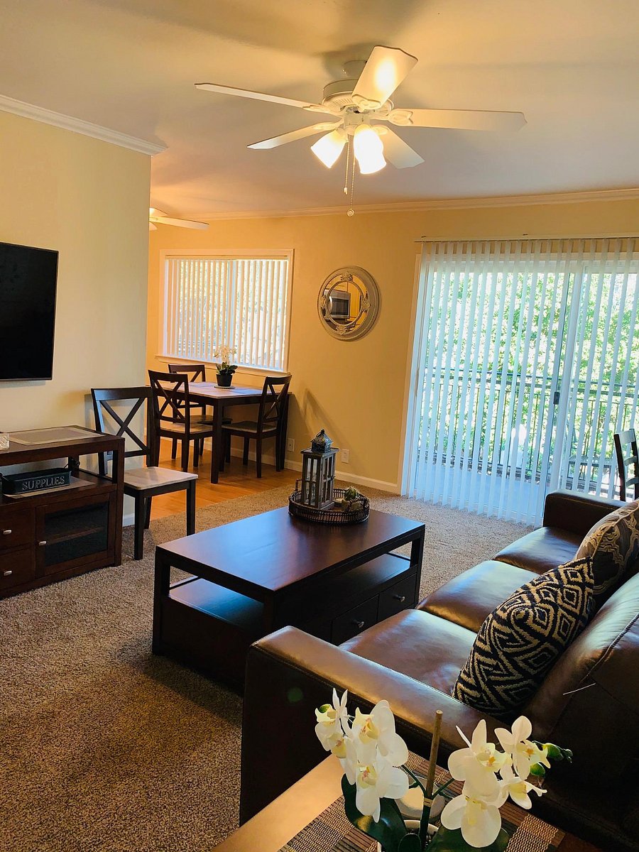 Furnished Finder property 663718_1 photo 7
