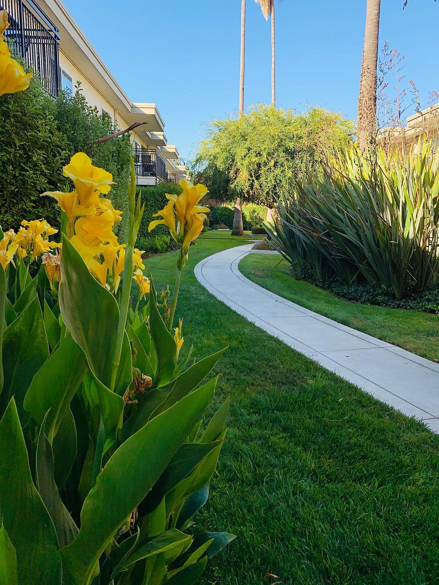 Furnished Finder property 663718_1 photo 11