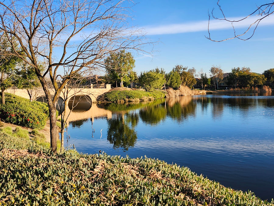 Lakeside Walking