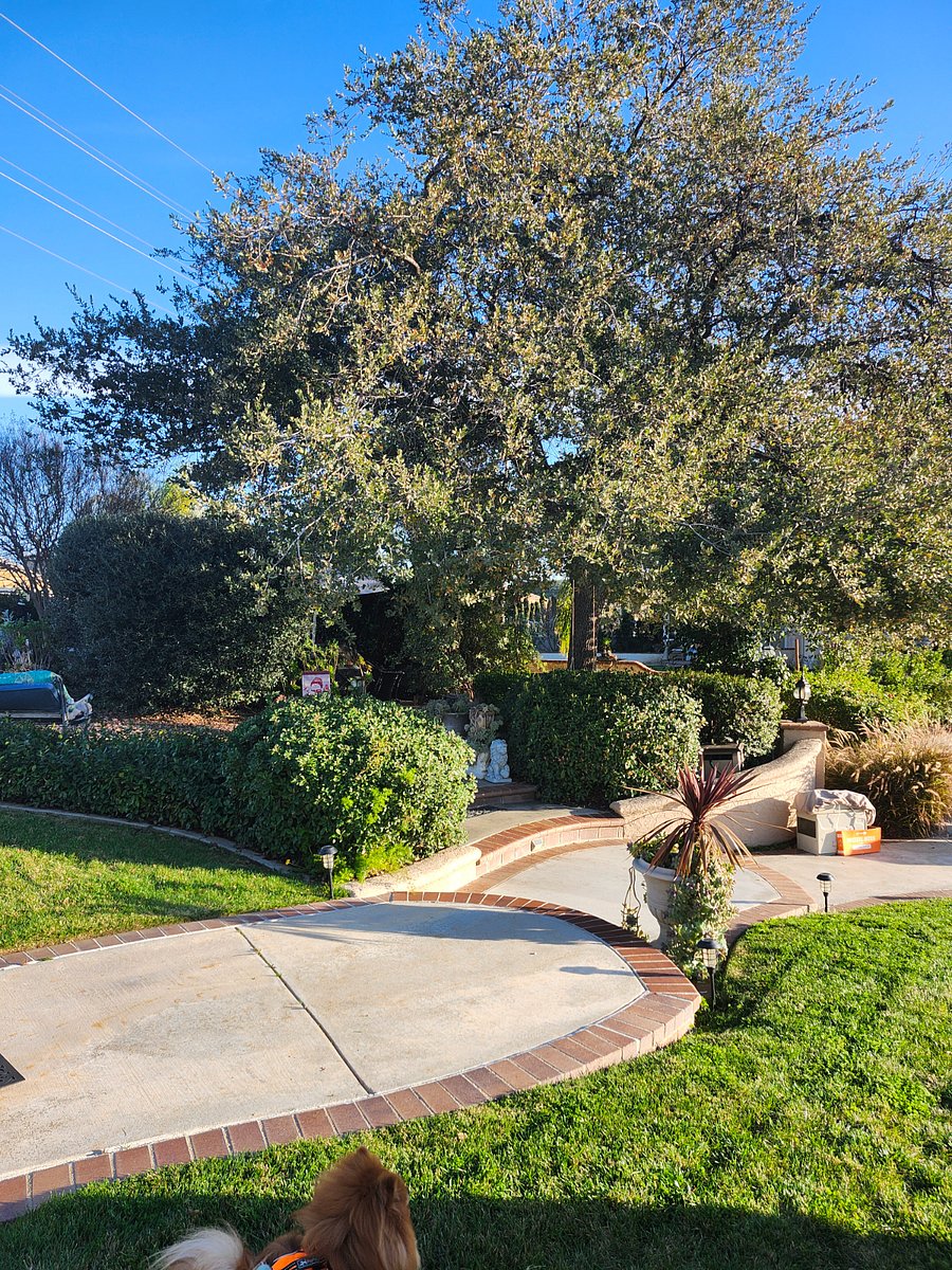 Outside home sitting area