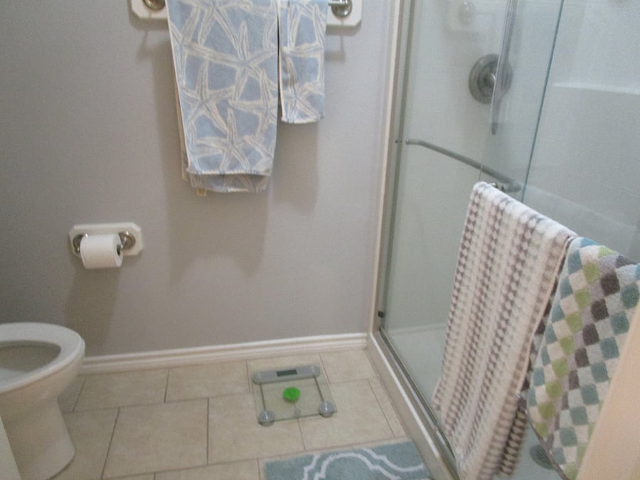 main master shower/bath