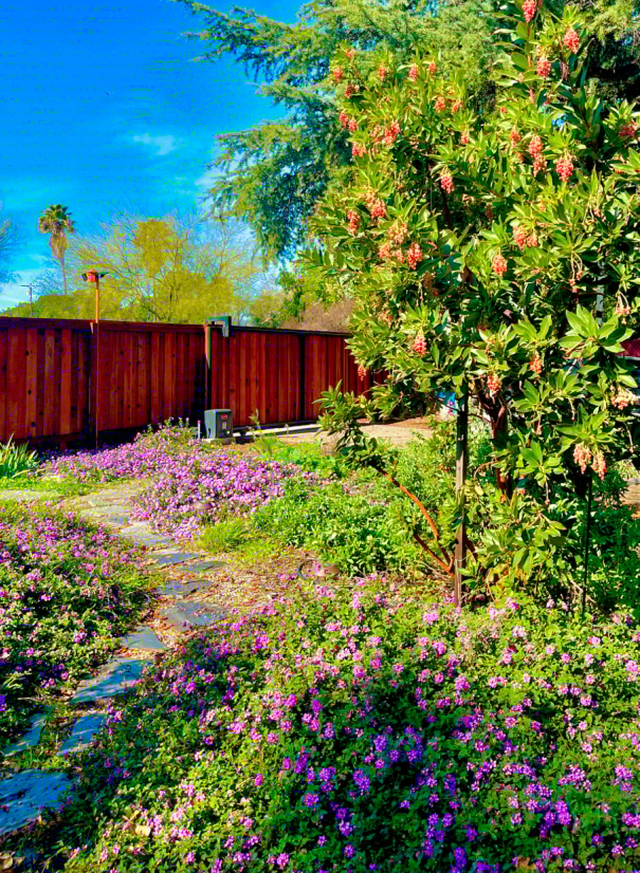 Privacy fence