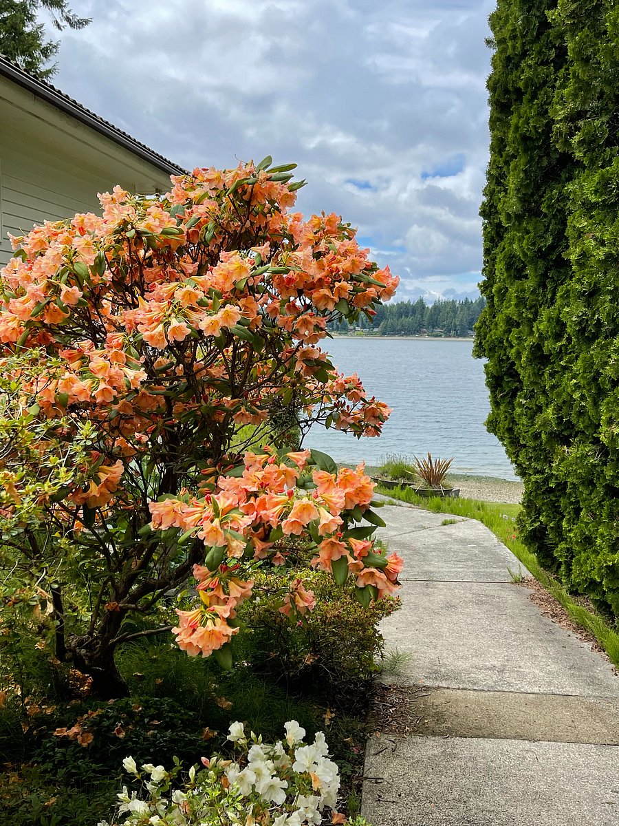 Path to waterfront.
