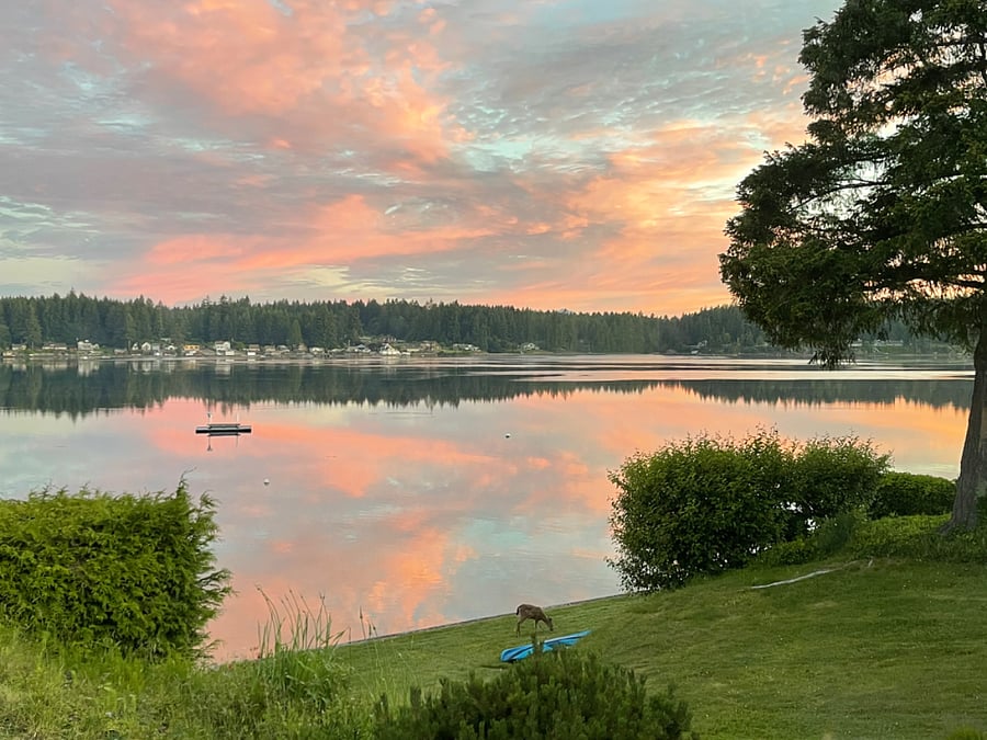 Reflected sunrise