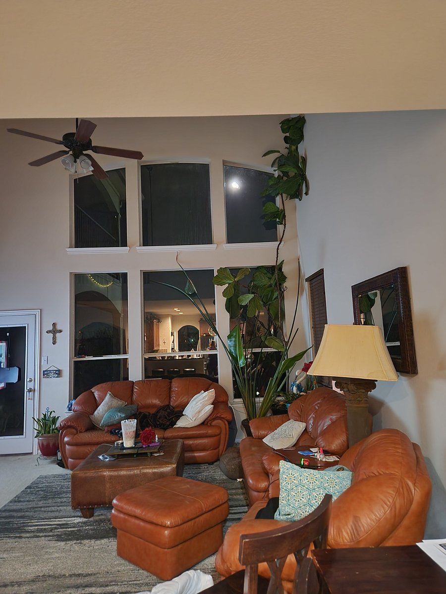 Furnished Finder property 664468_1 photo 8