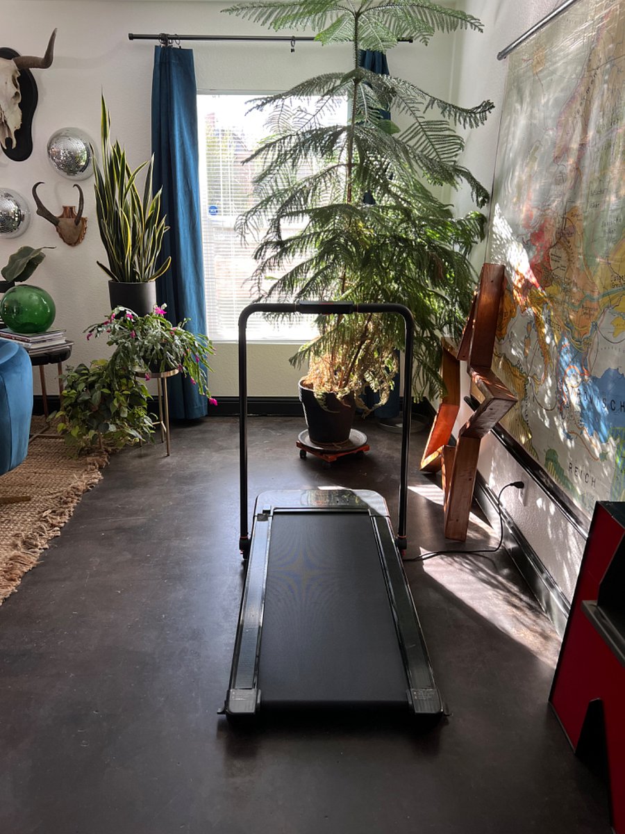 Spacious shared living/dining area with satellite TV, fireplace, exercise equipment, dining table, large windows and views into the backyard. Other exercise equipment available includes: rowing machine and a FitDesk bike.