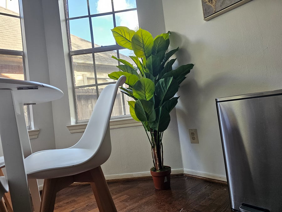 Furnished Finder property 664653_1 photo 22