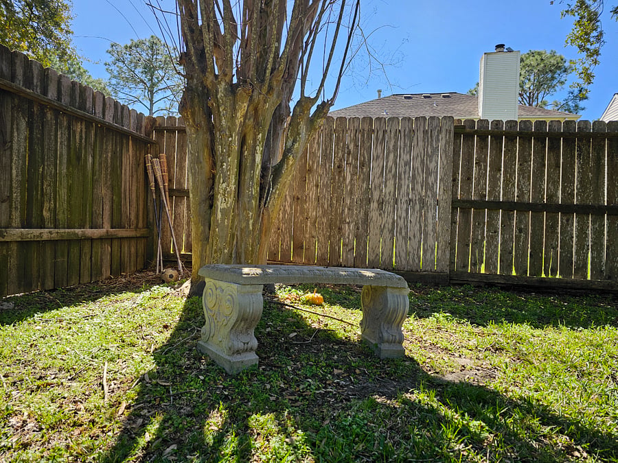 Backyard bench