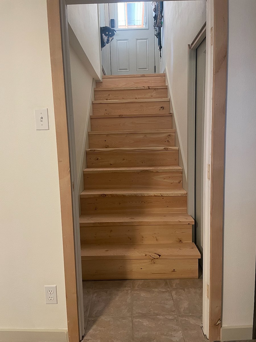 Stairway into the apartment. The doorway at the top opens up to the side of the house/carport. The main level is also accessed at the top of the stairway, with a locked off doorway. We also access our main level upstairs through a separate front door and door into the backyard/deck.
See one of our dogs, Rossi, poking his head out of the doorway at the top of the stairs :)
The shared laundry is at the bottom of the stairs next to the apartment's doorway.
